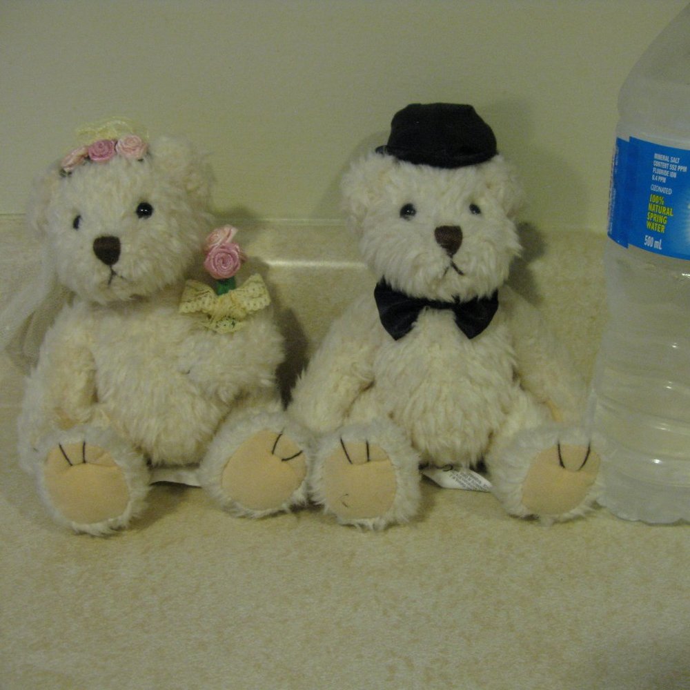 Mr and Mrs Bear plush wedding couple